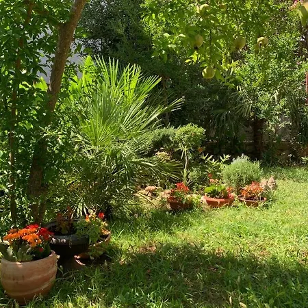 Nera Apartamento Vodice